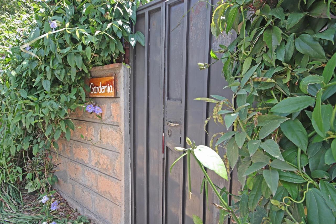 Olesamara Collection Otel Nanyuki Oda fotoğraf